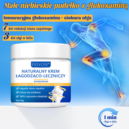 [Glukozamina Małe Niebieskie Pudełko]FEIYON™ Naturalny Krem Łagodząco-Leczniczy(🌿Innowacyjna Glukozamina + Roślinne Uśmierzenie)🔥Ograniczona oferta 80% zniżki🔥