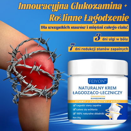 [Glukozamina Małe Niebieskie Pudełko]FEIYON™ Naturalny Krem Łagodząco-Leczniczy(🌿Innowacyjna Glukozamina + Roślinne Uśmierzenie)🔥Ograniczona oferta 80% zniżki🔥