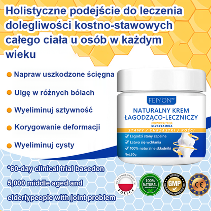 [Glukozamina Małe Niebieskie Pudełko]FEIYON™ Naturalny Krem Łagodząco-Leczniczy(🌿Innowacyjna Glukozamina + Roślinne Uśmierzenie)🔥Ograniczona oferta 80% zniżki🔥